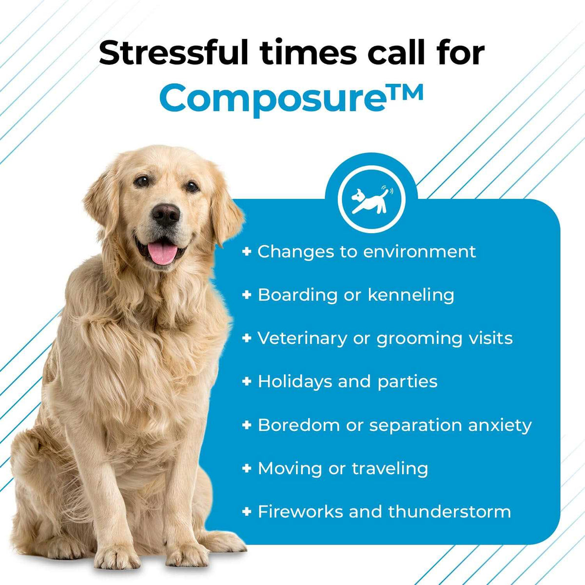 Calming Supplement for Dogs D89843