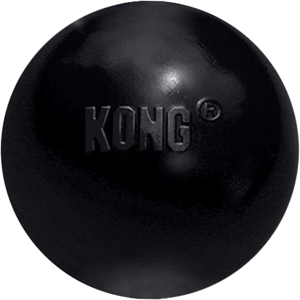 KONG Ball Dog Toy B8569