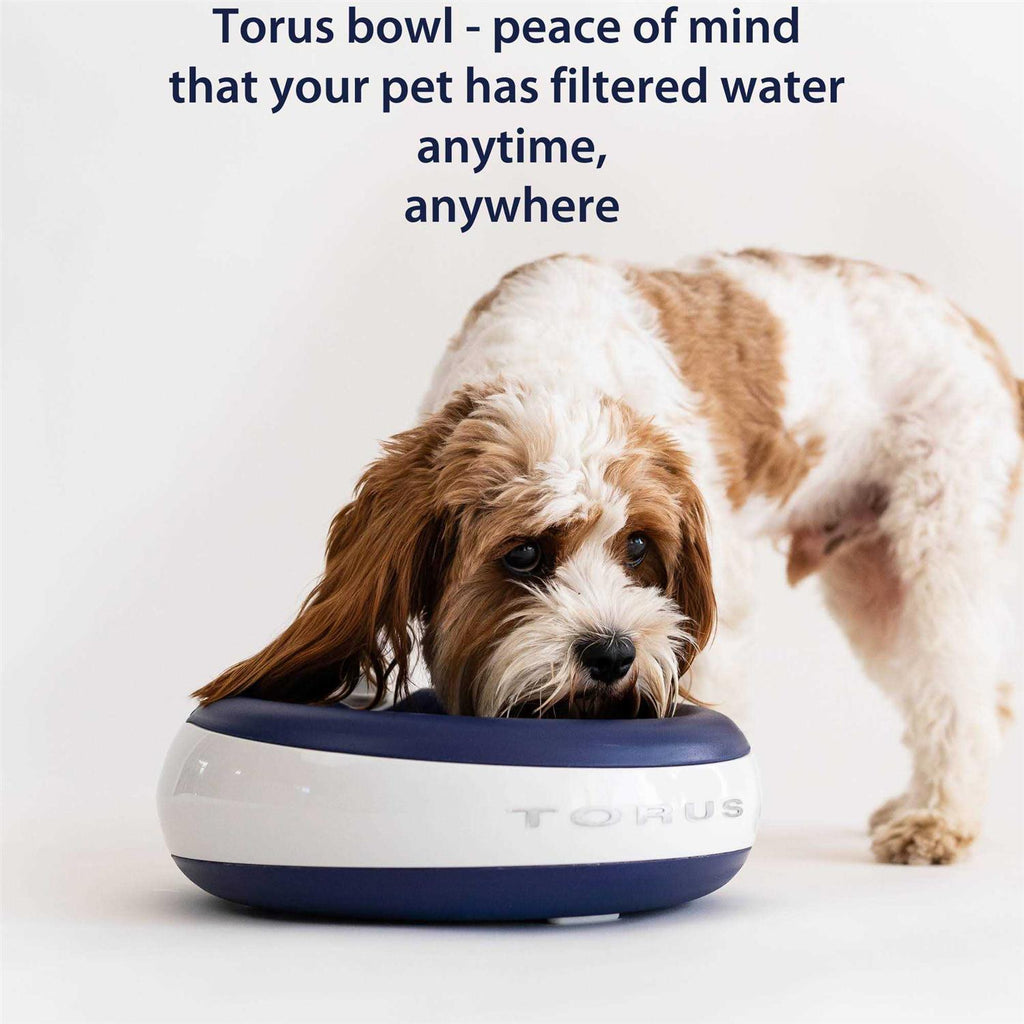 Filtered Water Bowl 2-Liter P170619