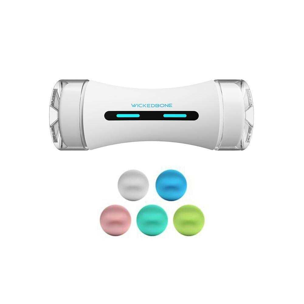 Automatic Interactive Dog Toys S3963