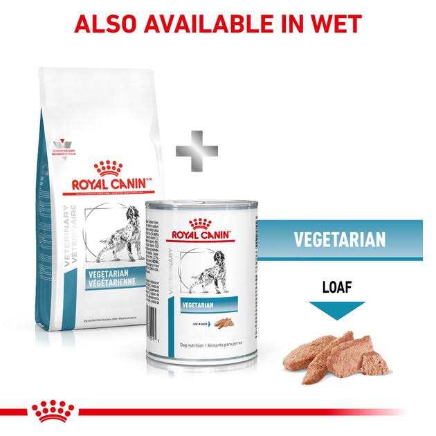 Vegetarian Dry Dog Food A5397