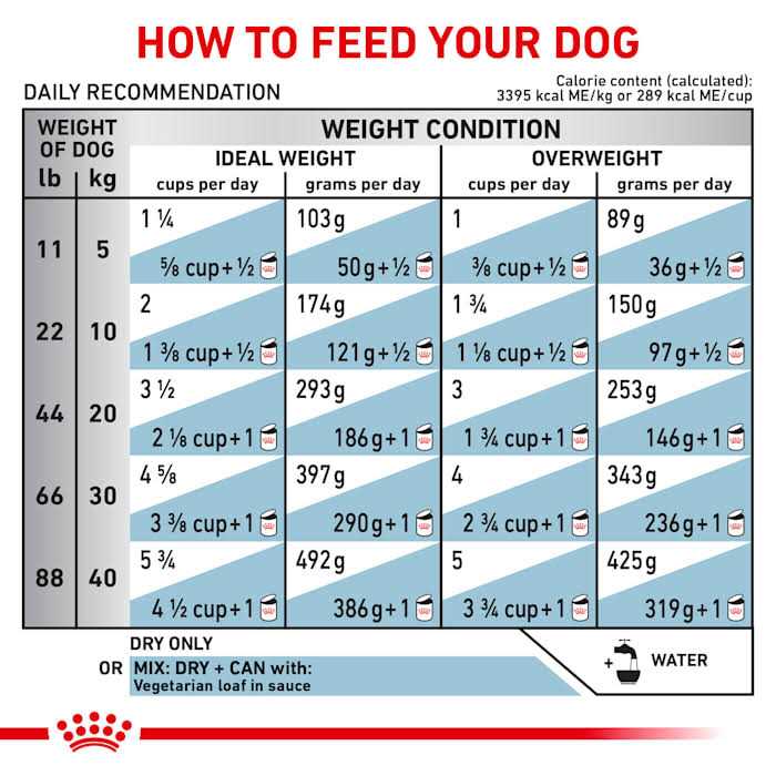 Vegetarian Dry Dog Food A5397