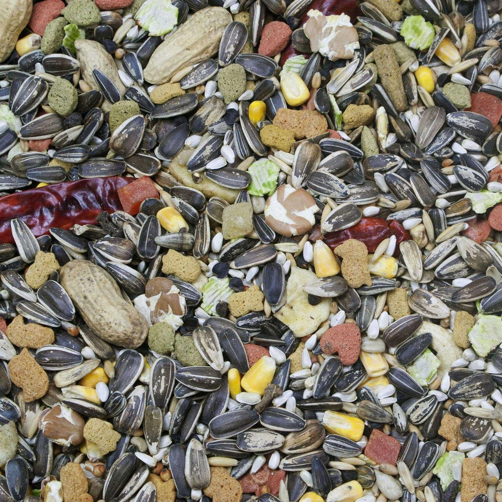 Parrot Food X29702