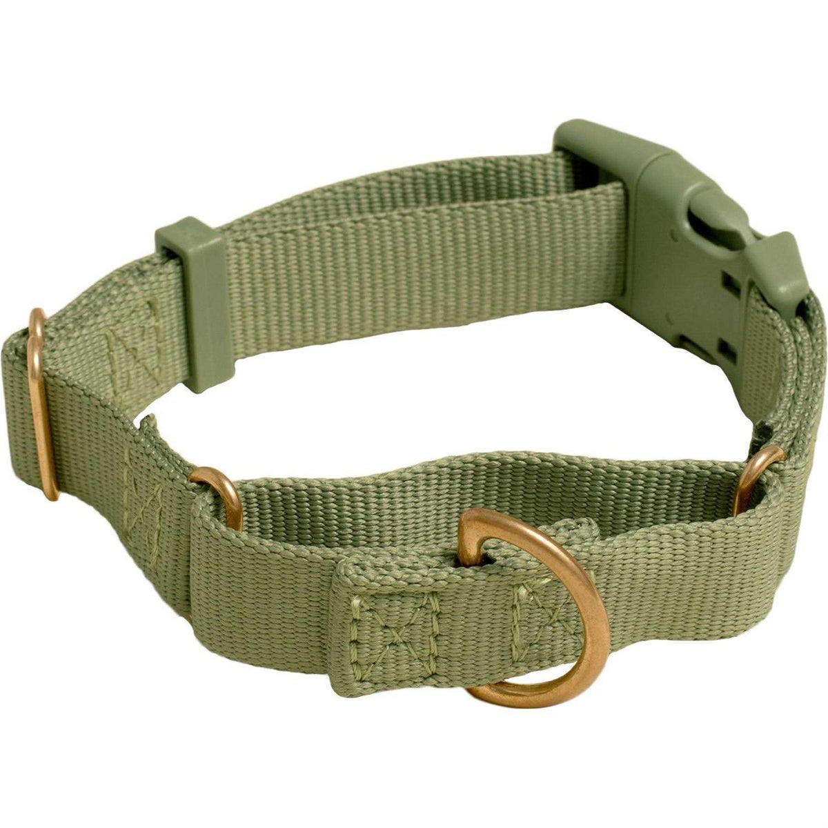 Martingale Dog Collar V59934