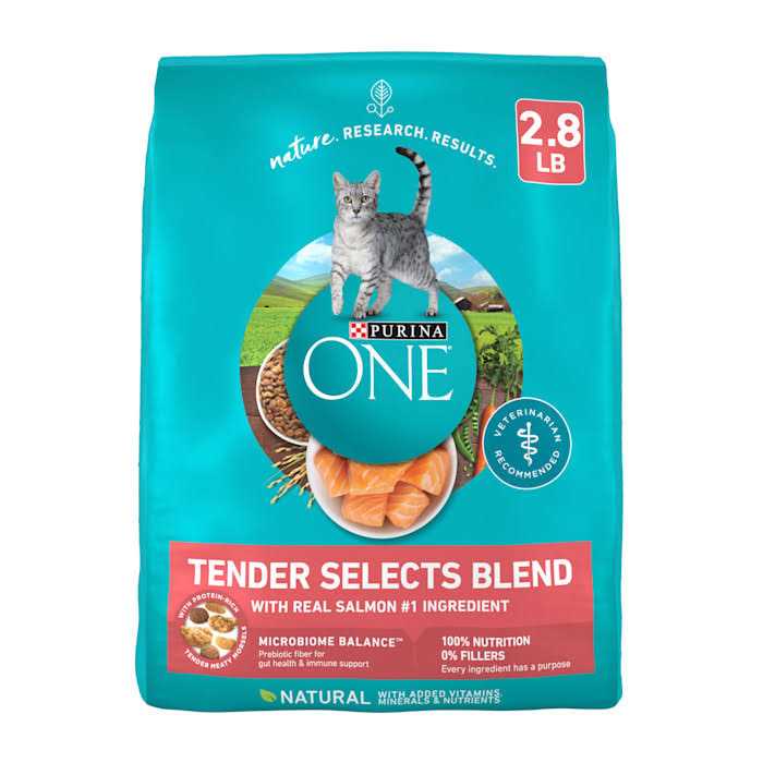 Dry Cat Food With Real Chicken V185