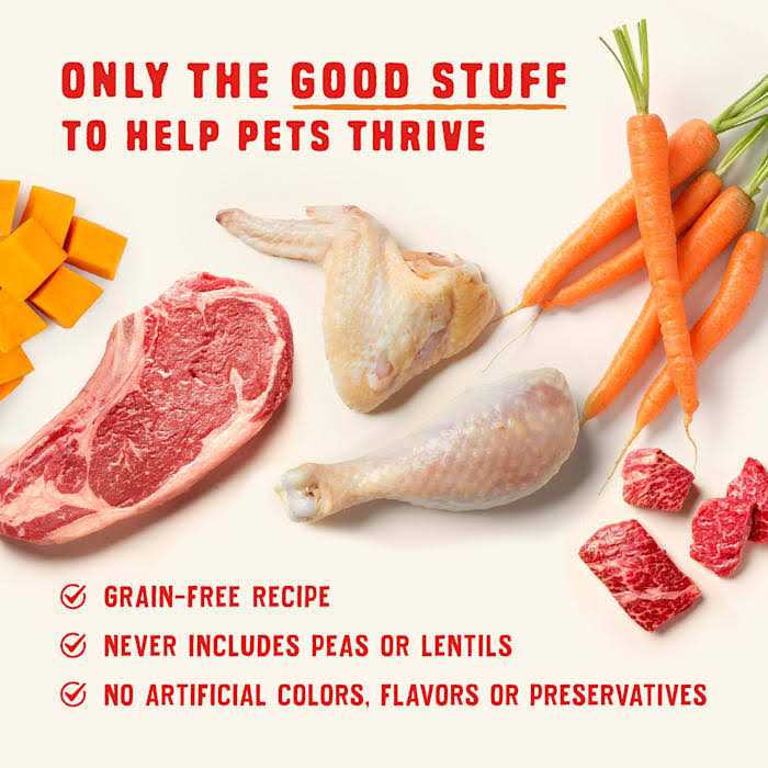 High Protein Chicken Stew Wet Dog Food C809167