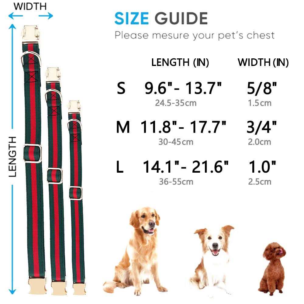 Adjustable Dog Collar with Metal Buckle B277