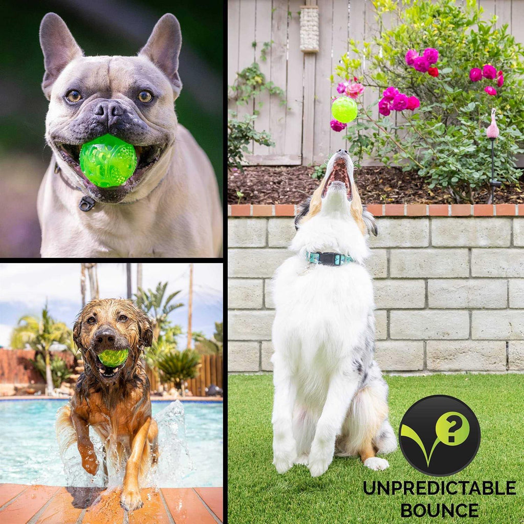 Dog Toy Ball P3323