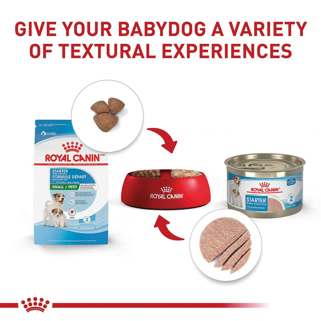 Dry Dog Food I99999