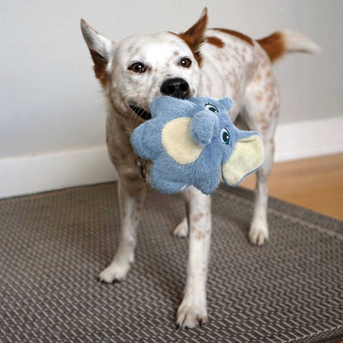 Bunny Dog Toy L8703