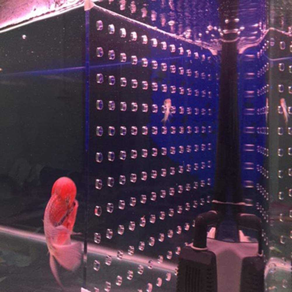 Acrylic Divider with Suction Cups L76466