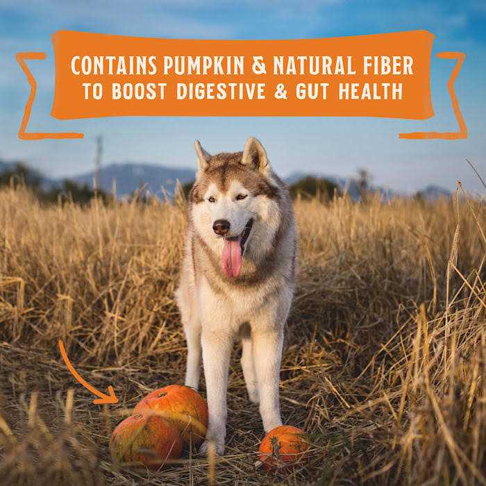 High Protein Chicken Stew Wet Dog Food C809167