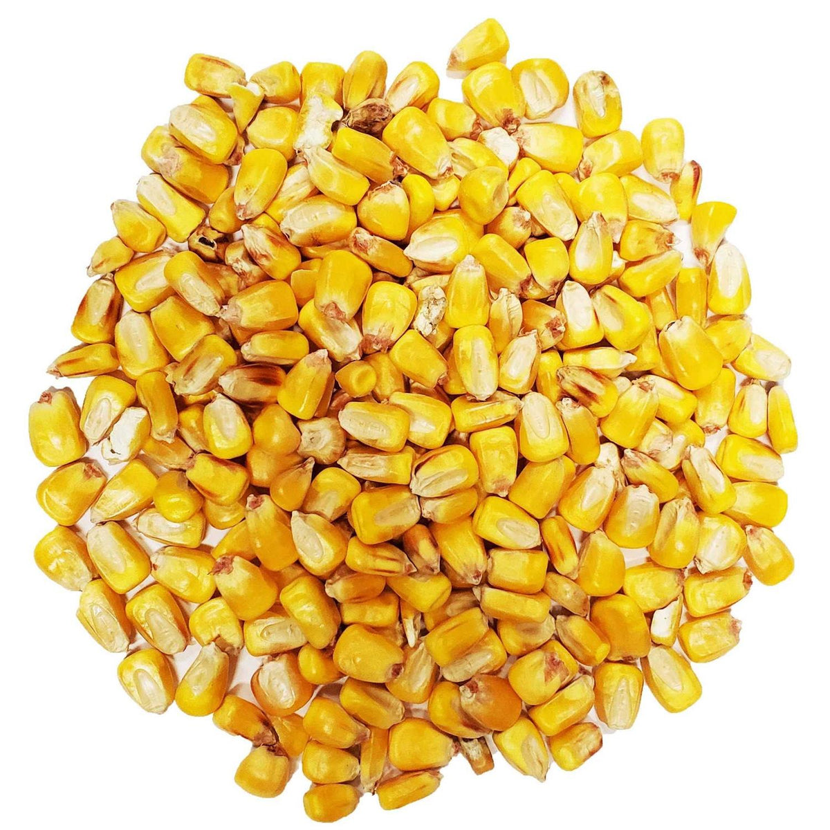 Whole Corn for Wildlife Feeding W305645