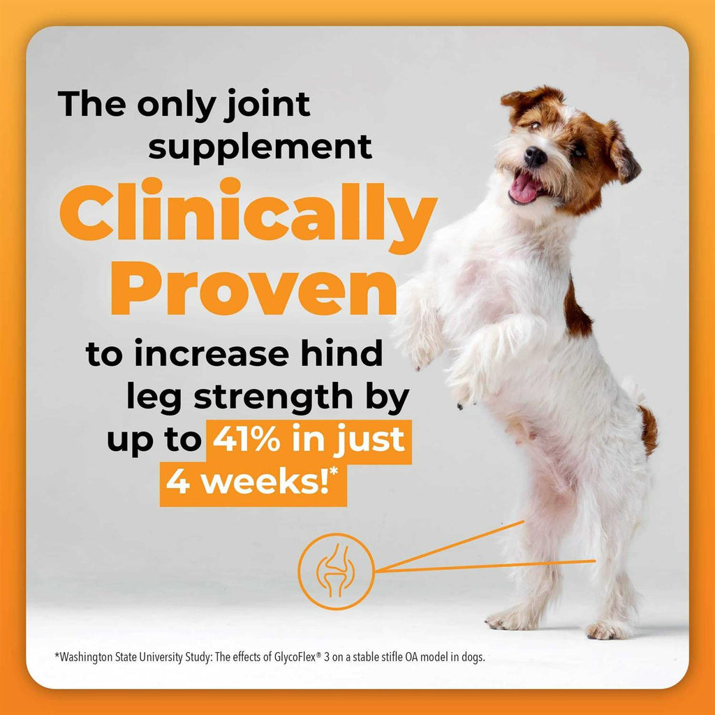 Joint Supplement for Small Dogs R422122